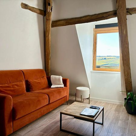 Appartement Cosy Vue Sur Le Vignoble Sancerre Εξωτερικό φωτογραφία