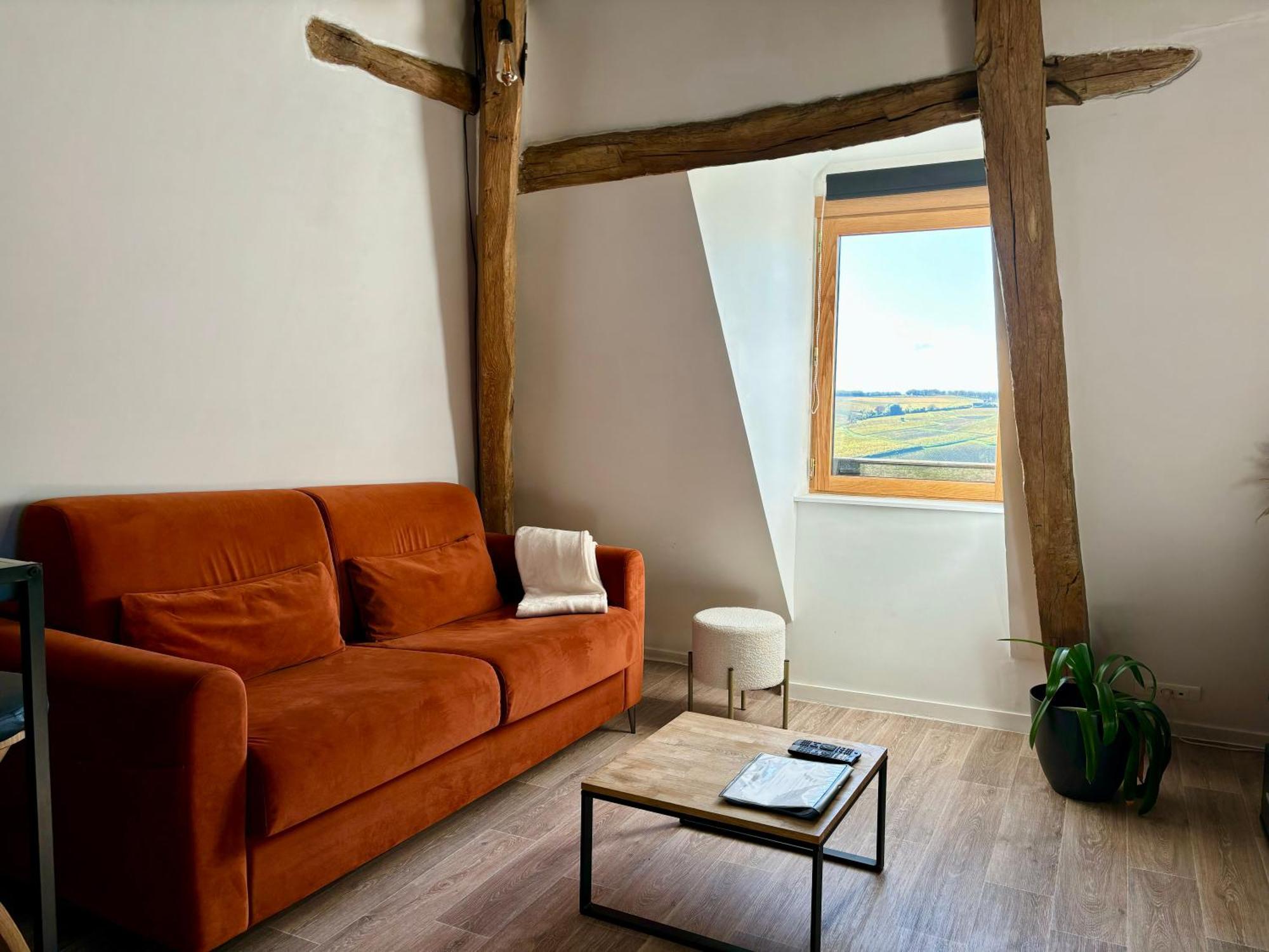 Appartement Cosy Vue Sur Le Vignoble Sancerre Εξωτερικό φωτογραφία